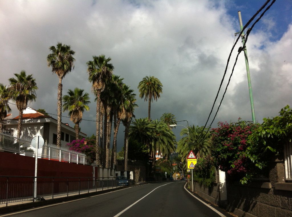 Las Palmas mountain trip: road to Gran Canaria's northern mountains