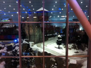 Skiing at Mall of Emirates
