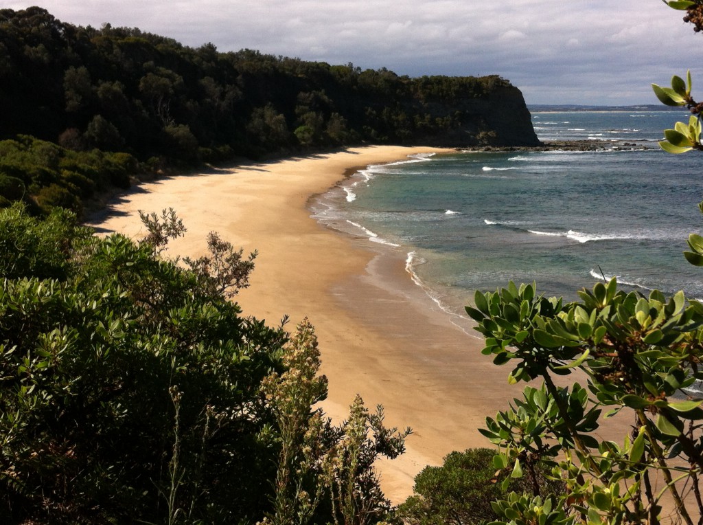 A beach on Bunurong coastal drive A beach on Bunurong coastal drive