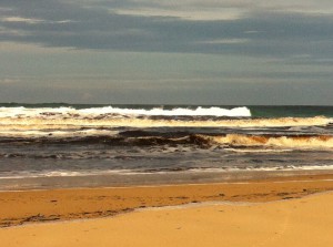 A coastal view of New South Wales, Australia