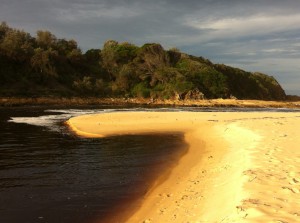 A coastal view of New South Wales, Australia