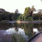 A view of the Royal Botanic Garden, Melbourne