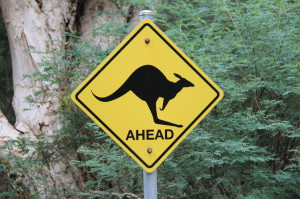 On the road through Victoria