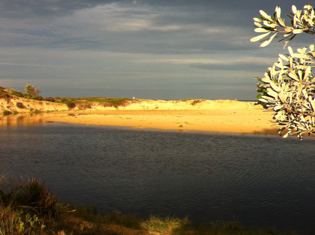 Sand dunes in New South Wales, Australia