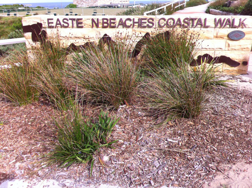  Bondi to Coogee Coastal Walk, Sydney