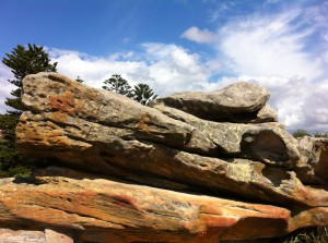 Rocks at Watsons Bay, Sydney