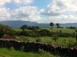 Saddleback Mountain Road, Kiama
