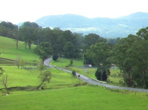 The road to Kangaroo Valley, New South Wales