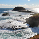 A view from the Nobbies broadwalk, Phillip Island