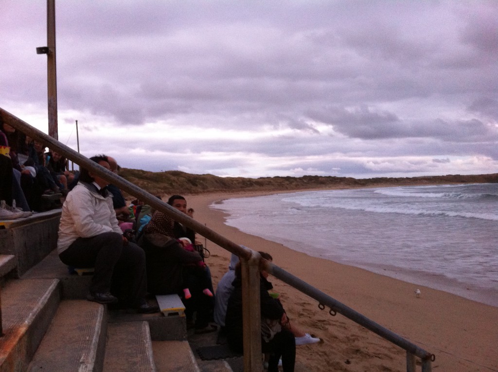 Waiting for the Little Penguins to appear Waiting for the Little Penguins to appear
