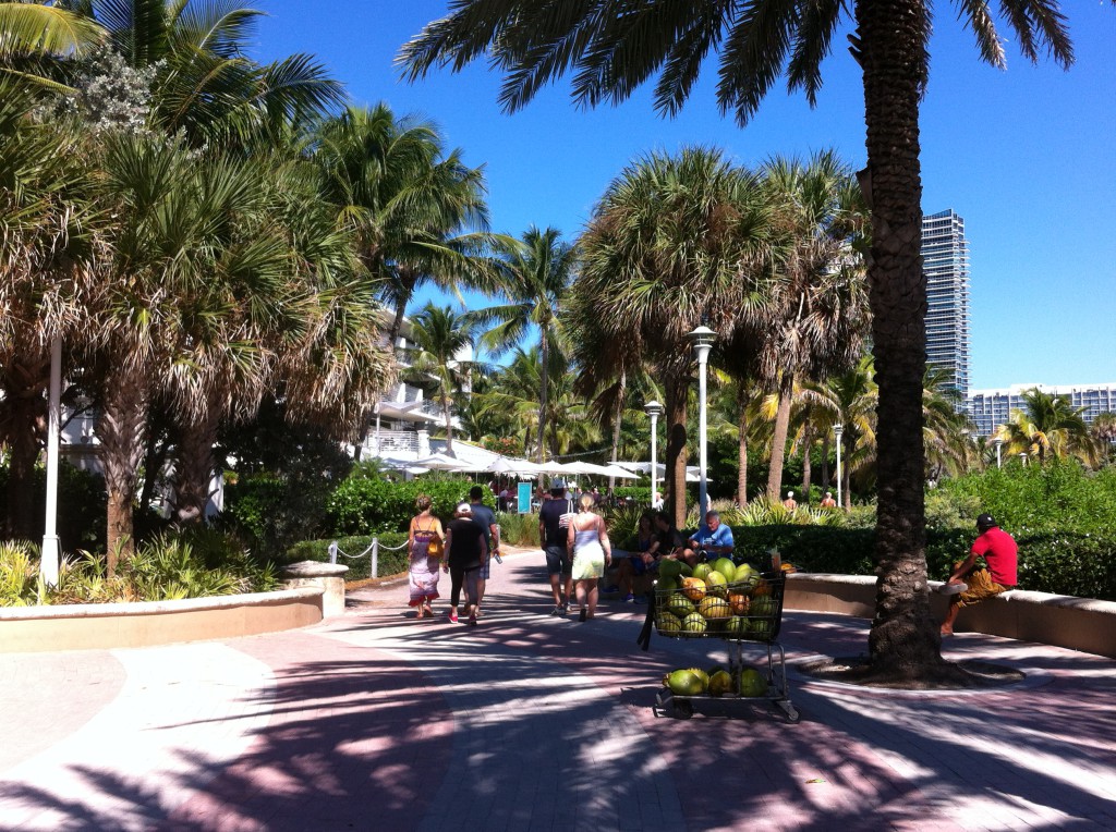Miami beach hotel area Miami beach hotel area