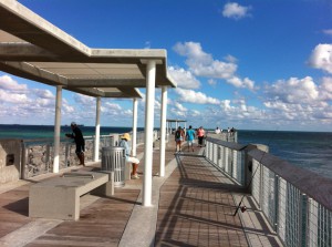 Cycling along Miami Beach, South Pointe Pier