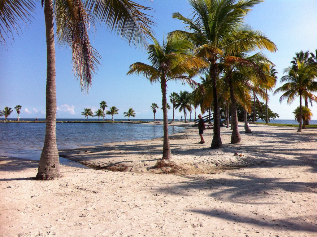 Matheson Hammock State Park Matheson Hammock State Park