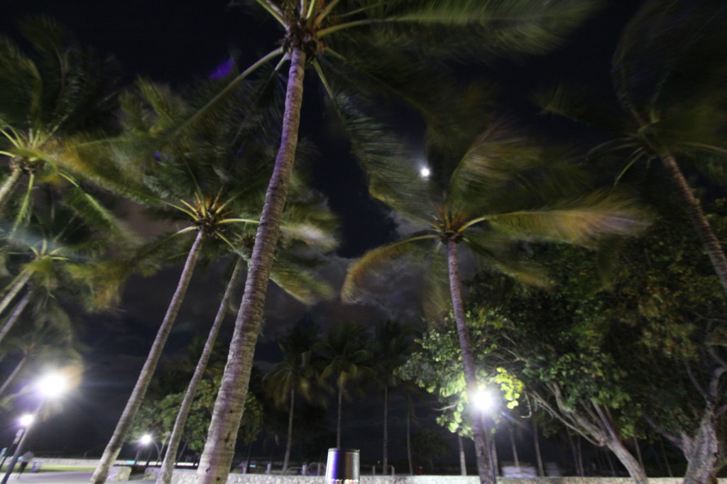 Lummus Park, Miami Lummus Park, Miami