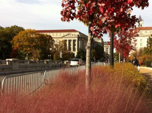 A view from National Mall, Washington DC