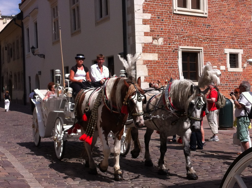 Horses and a carriage, Krakow Old Town