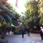US Botanic Garden, Washington DC