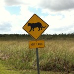A traffic sign, Everglades National Park