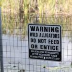 A warning, Everglades National Park, Florida