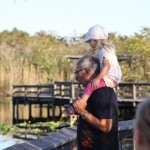 Anhinga Trail, the Everglades