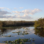 Anhinga Trail, walking trails in the Everglades