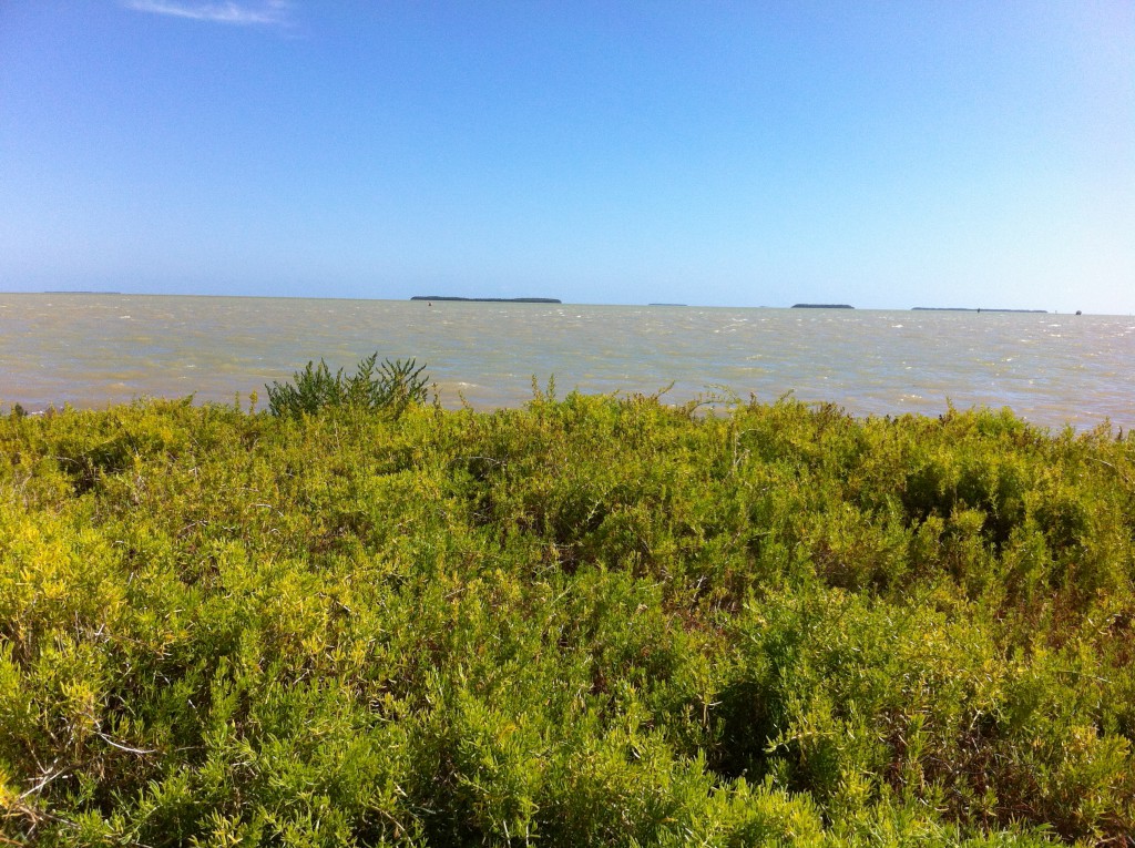 The Gulf of Mexico seen from Flamingo, Everglades