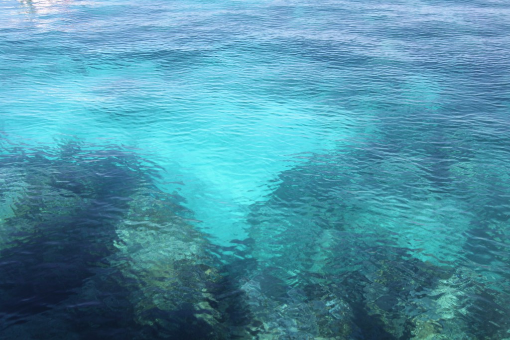 Corals in John Pennekamp State Park, Key Largo Corals in John Pennekamp State Park, Key Largo