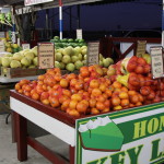 Fruits being sold on the road to Everglades National Park