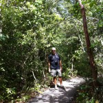 Gumbo Limbo walking trail, the Everglades