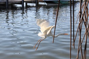 Islamorada, drive from Miami to Key West