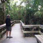 Mahogany Hammock Boardwalk, Everglades National Park