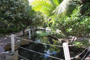 Theater of the Sea, Islamorada, Florida Keys