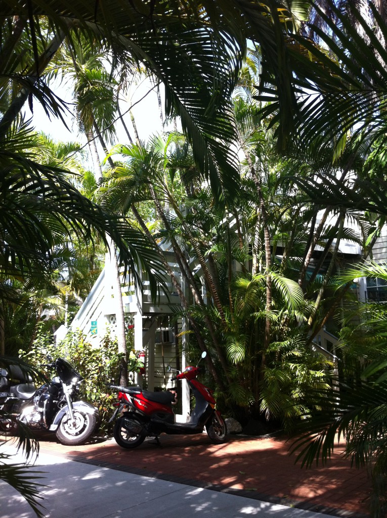 The garden, Westwinds Inn, Key West