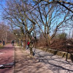 Bike lane in Sopot