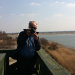 Bird-watching, Lake Lebsko, Slowinski National Park