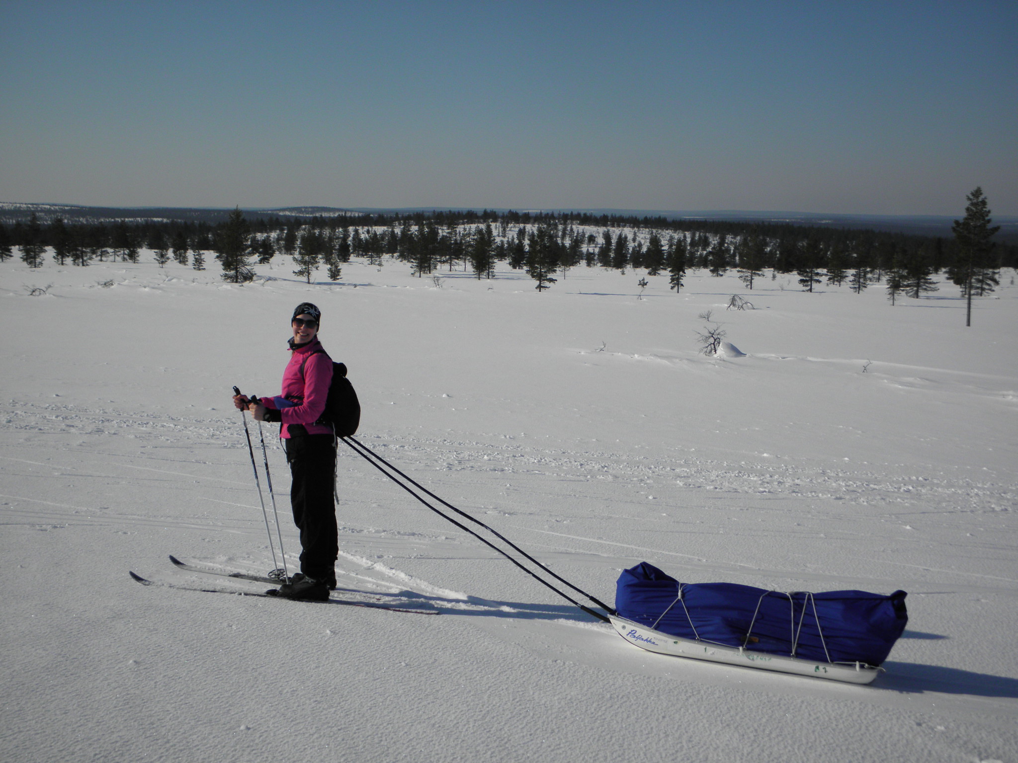 Skiing with a pulkka in Lapland