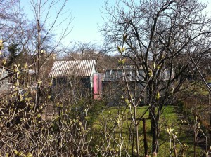 Garden plots, Gdansk