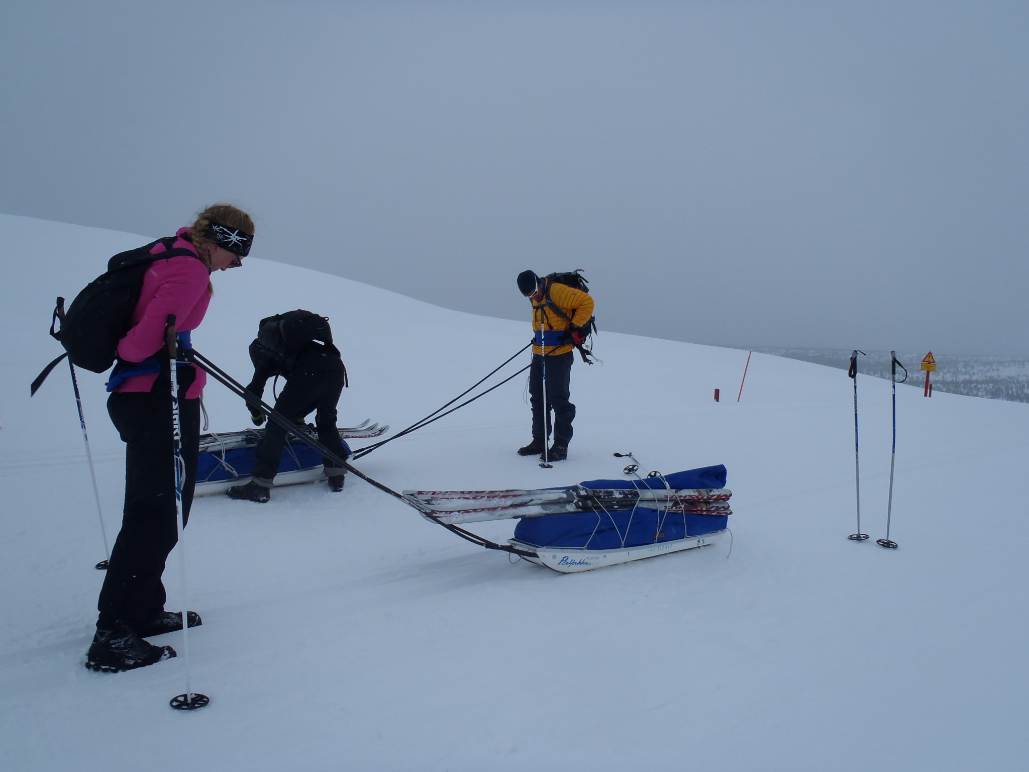 Skiing with a pulkka in Kiilopää