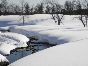 River in Luirojärvi