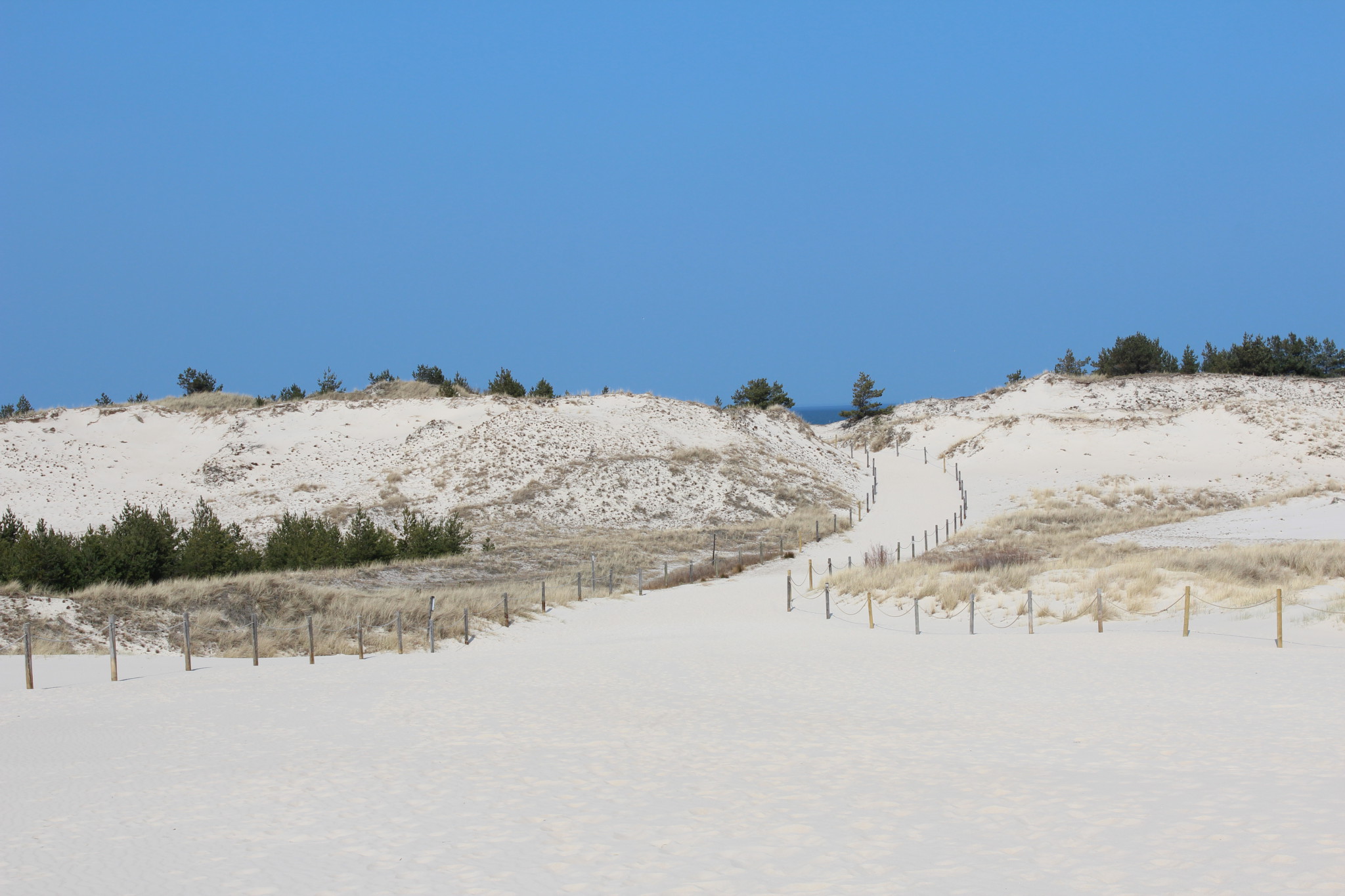 Shifting Sand Dunes, Slowinski National Park Shifting Sand Dunes, Slowinski National Park