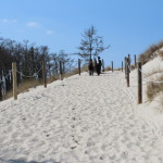 Shifting Sand Dunes, Slowinski National Park