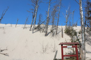 Shifting Sand Dunes, Slowinski National Park