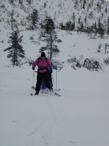 Skiing in Lapland