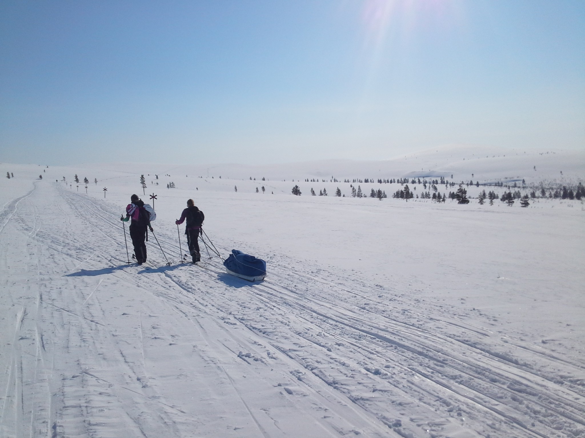 Skiing in sunshine