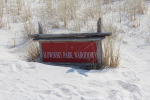 The Dunes, Slowinski National Park