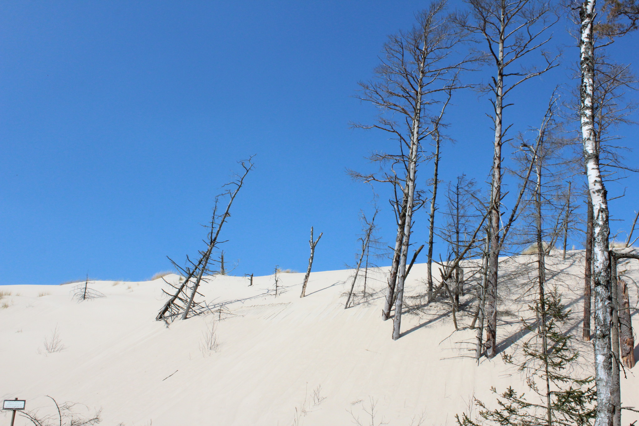 Shifting Sand Dunes, Slowinski National Park Shifting Sand Dunes, Slowinski National Park