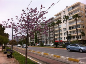 Konytaalti Road, Antalya