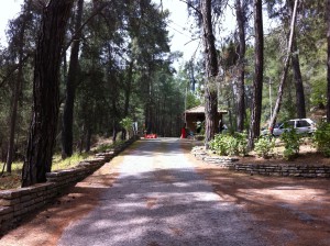 Phaselis Entrance