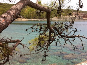 Phaselis, Turkey