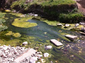 Crossing a River, Lycian Way